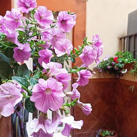Apartamento La Reina 코르도바 외부 사진
