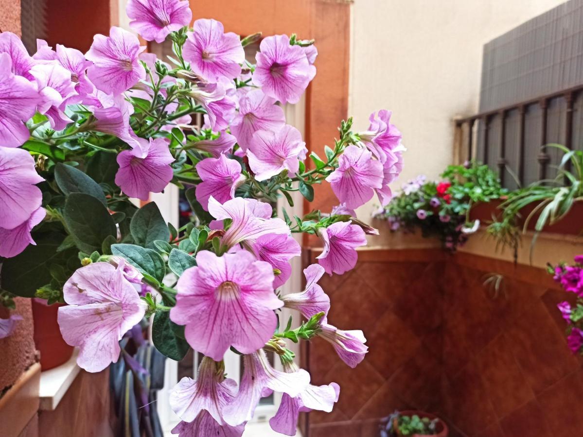 Apartamento La Reina 코르도바 외부 사진